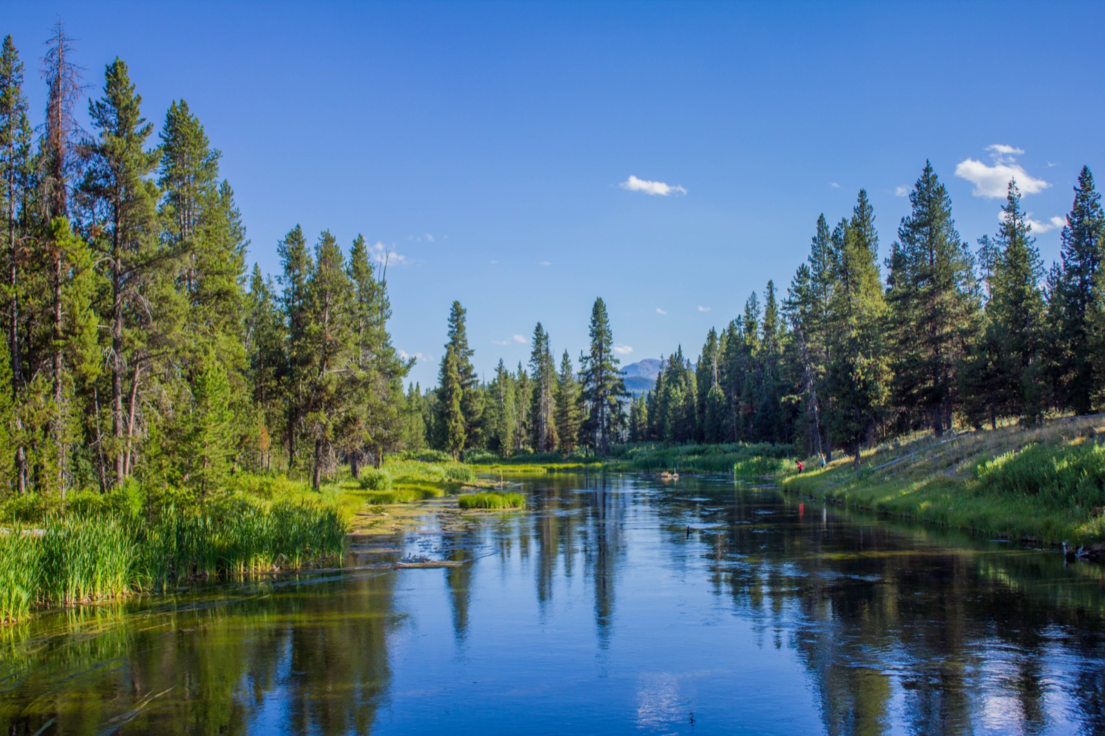National Park Road Trip